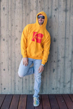 Load image into Gallery viewer, FALSE